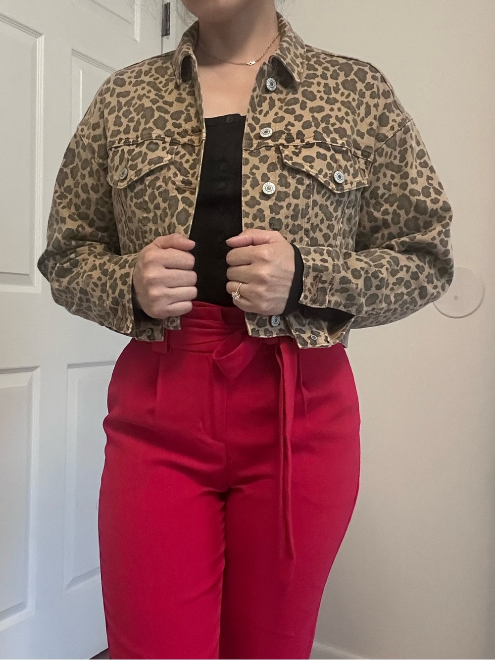 American Eagle Outfitters Tan and Brown Leopard Print Jean Jacket